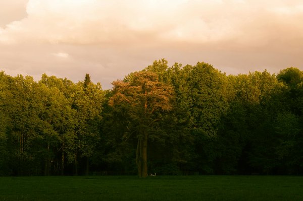 Effective Natural Pain Relief: Best Non-Medical Strategies for Seniors to Alleviate Arthritis Discomfort