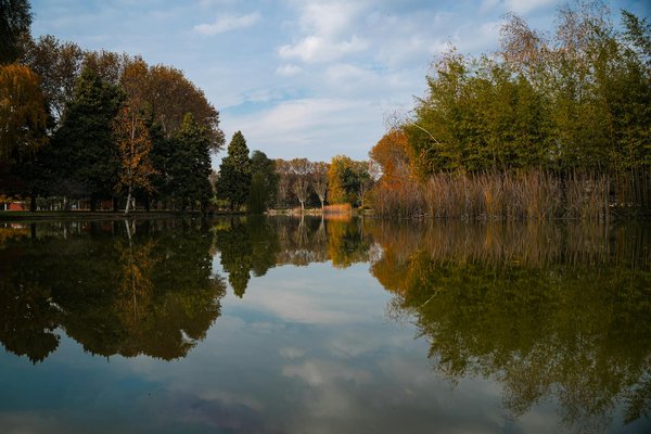 What role does continuing education play in the careers of UK health professionals?